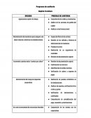 Programa de auditoría Dephta Furniture