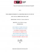 Resisuduos solidos en la industria peruana