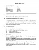 MODELO DE INFORME PSICOLÓGICO evaluación psicológica integral