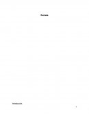 Ensayo metodos de optimizacion