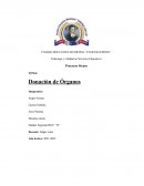 Donación de Órganos