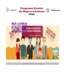 Programa Escolar de Mejora Continua