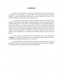 Significado de la red vial