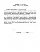 MANDATO ESPECIAL PARA AGENTE DE ADUANA