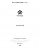 Matriz DOFA “Presupuesto”