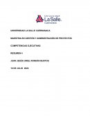 COMPETENCIAS EJECUTIVAS