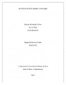 Cannabis ¿Cuál es la situación actual?