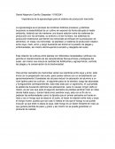 Importancia de la agroecología para el sistema de producción menonita