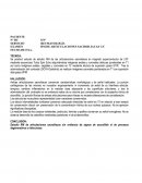 Articulaciones sacroiliacas