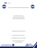 El Manual de procedimientos