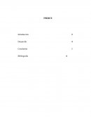 Misiones ¿estaré haciendo bien mi papel de líder en el lugar donde trabajo?