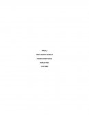 Planificacion social