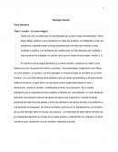 Taller de Textos La cueva mágica