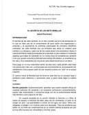 EL SECRETO DE LAS SIETE SEMILLAS