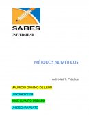 MÉTODOS NUMÉRICOS Actividad 7: Práctica