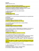 Programa contabilidad A3