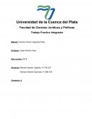 Ensayo critico sobre Trato de inimputables derecho penal argentino