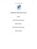 DELITO DE VIOLACION SEXUAL