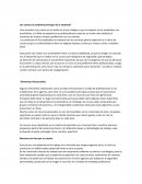 Toma de decisiones ¿Se conoce el problema principal de la empresa?