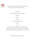 ENSAYO LOS BRIOFITOS-PTERIDOFITOS, LAS PRIMERAS PLANTAS TERRESTRES LO IMPORTANTE QUE FUERON PARA LA FORMACION DEL MEDIO AMBIENTE, ANALIZAMOS SU CONSERVACION EN LA ACTUALIDAD