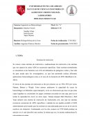 LABORATORIO BIOLOGIA MOLECULAR