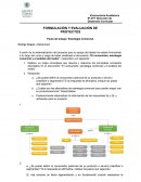 Evaluacion de proyectos - estrategia comercial