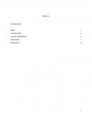 Historia cuadro comparativo