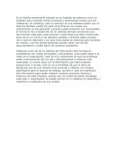 Reporte datos posicion