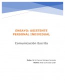 ENSAYO: ASISTENTE PERSONAL INDIVIDUAL