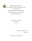 Platon y la alegoría de la caverna