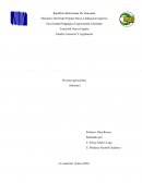 Procesos gerenciales (Informe)