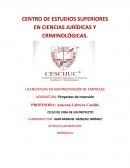 CICLO DE VIDA DE UN PROYECTO