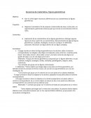 Secuencia de matemática. Figuras geométricas