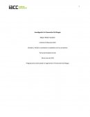 Investigacion en prevencion de riesgos