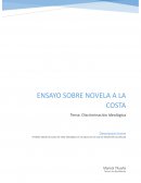 Ensayo sobre novela La costa