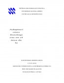 UNA Introduccion a la Informatica