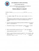 PRACTICA DE CALCULO III