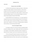 Realización de Citas Citas Cortas: Programa de Intervención MOIDI
