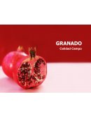 GRANADA RESUMEN SEMANAL DE PODA