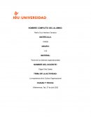 La importancia de la Cultura Organizacional