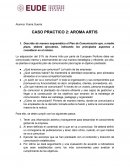 CASO PRACTICO - AROMA ARTIS