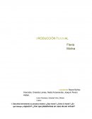 Producion puesta en escena