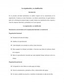 La organización y su clasificación