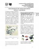 ENSAYO BIOARQUITECTURA “EN BUSCA DE UN ESPACIO”