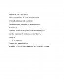 TRANSICIONALIDAD Y VOCACION. OTRA LECTURA POSIBLE ACERCA DE LO VOCACIONAL (CLAUDIA MESSING)