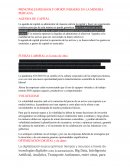 PRINCIPALES RIESGOS Y OPORTUNIDADES EN LA MINERÍA PERUANA