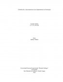 Distribución y funcionamiento de un departamento de fisioterapia