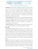 ENSAYO INNOVACION PARA SATISFACER LA DEMANDA