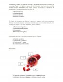 Preguntas prueba saber