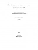 Técnico en proyectos agropecuarios